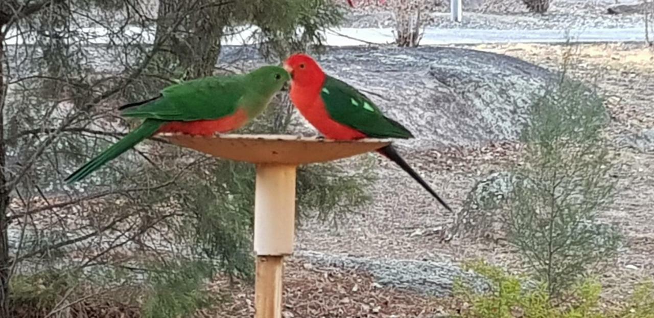 Murray Gardens Motel スタンソープ エクステリア 写真